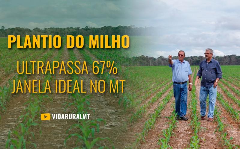 PLANTIO ULTRAPASSA 67% DENTRO DA JANELA IDEAL NO MATO GROSSO